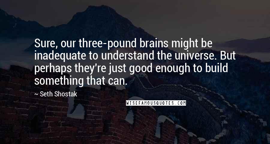 Seth Shostak Quotes: Sure, our three-pound brains might be inadequate to understand the universe. But perhaps they're just good enough to build something that can.