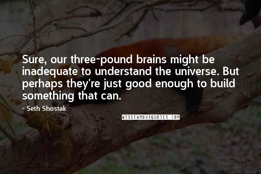 Seth Shostak Quotes: Sure, our three-pound brains might be inadequate to understand the universe. But perhaps they're just good enough to build something that can.