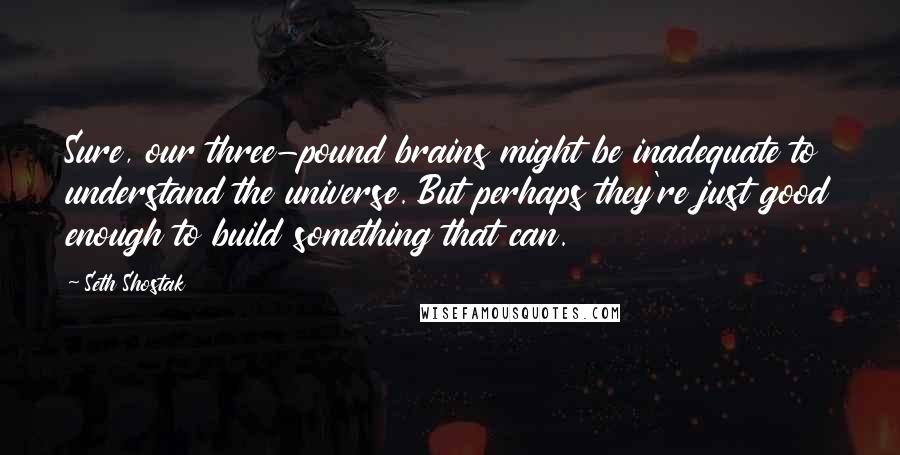 Seth Shostak Quotes: Sure, our three-pound brains might be inadequate to understand the universe. But perhaps they're just good enough to build something that can.