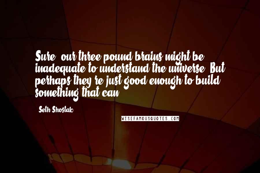 Seth Shostak Quotes: Sure, our three-pound brains might be inadequate to understand the universe. But perhaps they're just good enough to build something that can.