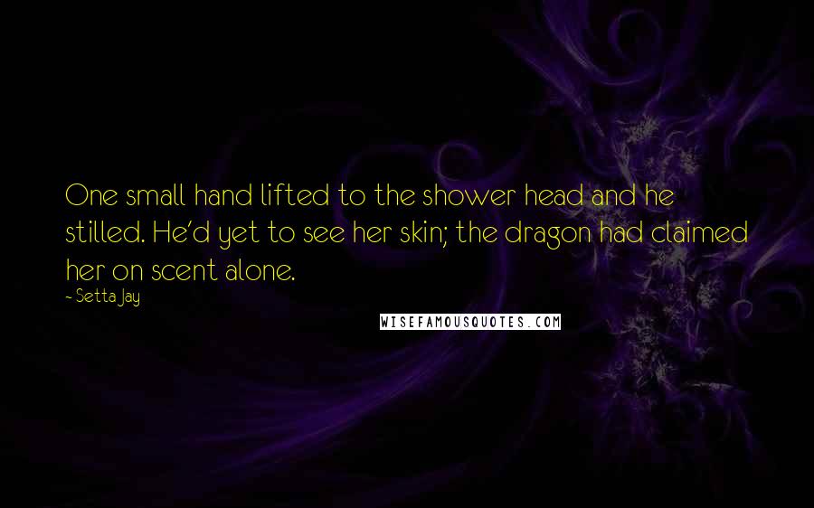 Setta Jay Quotes: One small hand lifted to the shower head and he stilled. He'd yet to see her skin; the dragon had claimed her on scent alone.