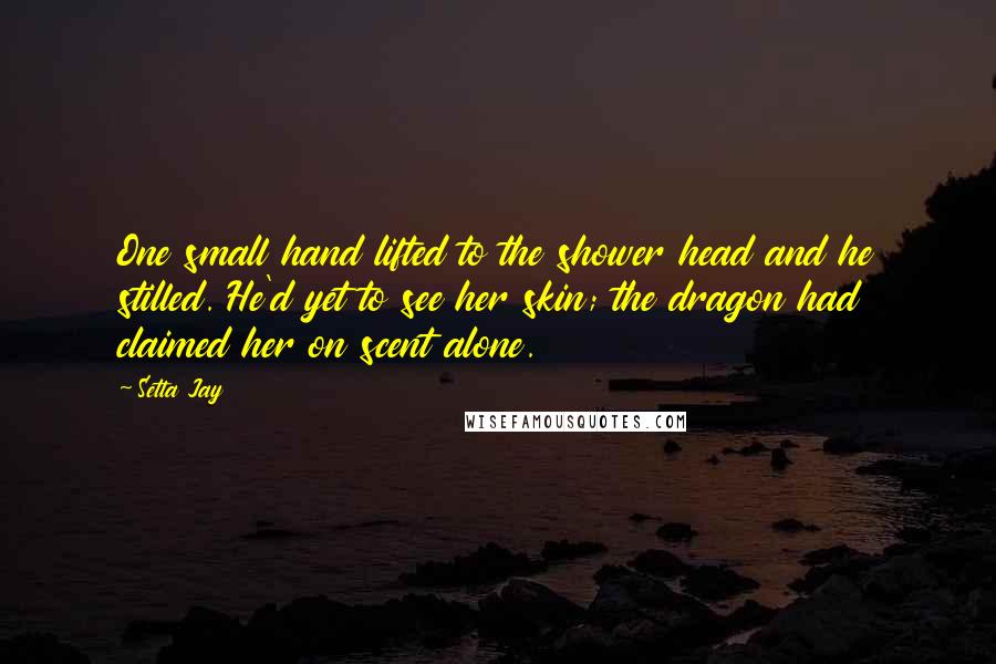 Setta Jay Quotes: One small hand lifted to the shower head and he stilled. He'd yet to see her skin; the dragon had claimed her on scent alone.