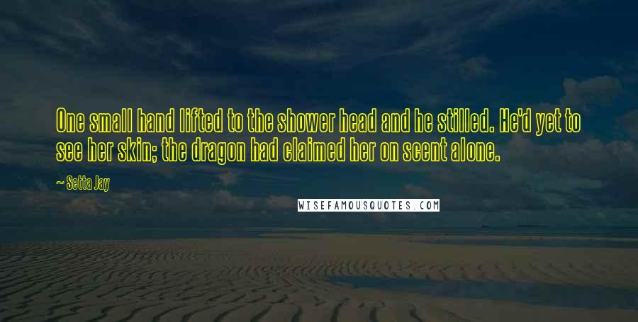 Setta Jay Quotes: One small hand lifted to the shower head and he stilled. He'd yet to see her skin; the dragon had claimed her on scent alone.