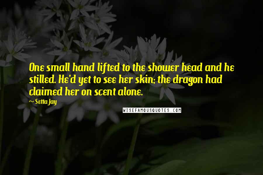 Setta Jay Quotes: One small hand lifted to the shower head and he stilled. He'd yet to see her skin; the dragon had claimed her on scent alone.
