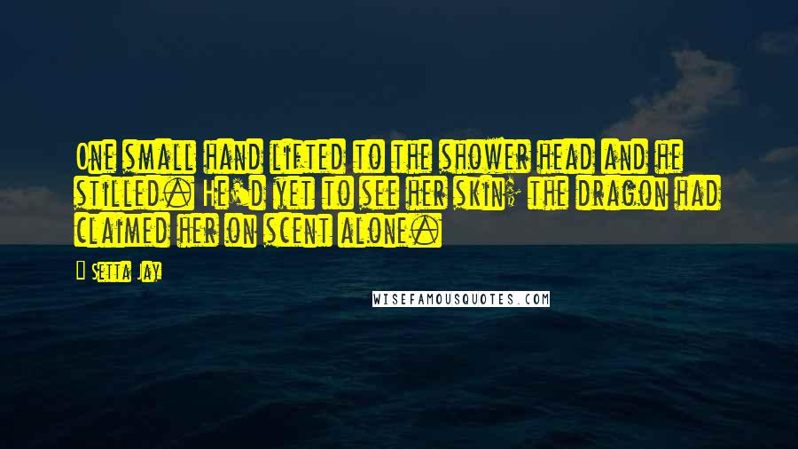 Setta Jay Quotes: One small hand lifted to the shower head and he stilled. He'd yet to see her skin; the dragon had claimed her on scent alone.