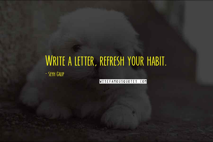 Seyh Galip Quotes: Write a letter, refresh your habit.