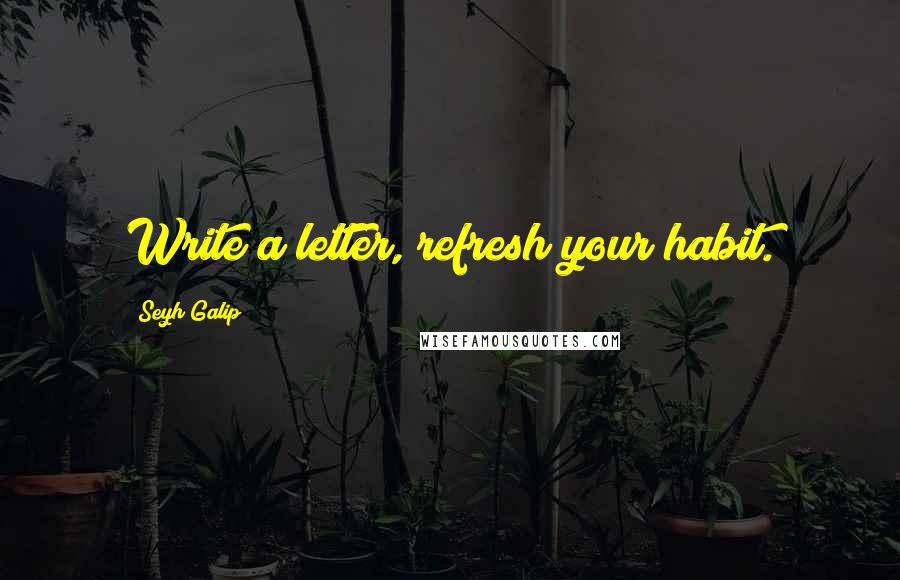 Seyh Galip Quotes: Write a letter, refresh your habit.