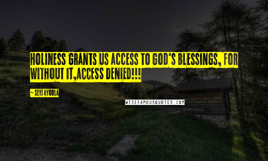 Seyi Ayoola Quotes: Holiness grants us access to God's blessings, for without it,ACCESS DENIED!!!