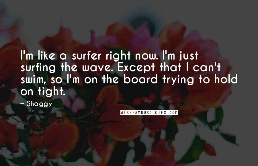 Shaggy Quotes: I'm like a surfer right now. I'm just surfing the wave. Except that I can't swim, so I'm on the board trying to hold on tight.