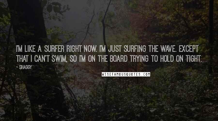 Shaggy Quotes: I'm like a surfer right now. I'm just surfing the wave. Except that I can't swim, so I'm on the board trying to hold on tight.