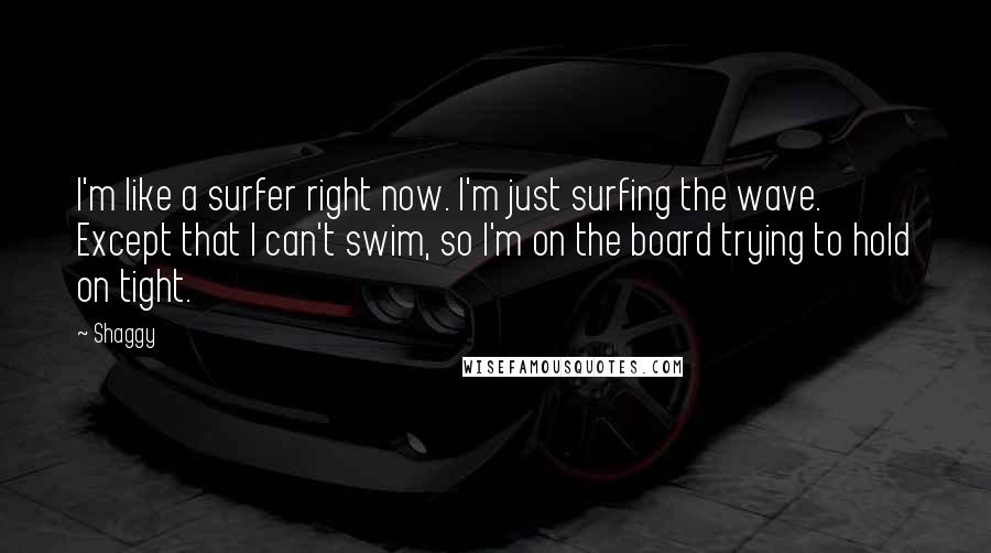 Shaggy Quotes: I'm like a surfer right now. I'm just surfing the wave. Except that I can't swim, so I'm on the board trying to hold on tight.