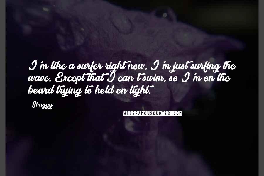 Shaggy Quotes: I'm like a surfer right now. I'm just surfing the wave. Except that I can't swim, so I'm on the board trying to hold on tight.