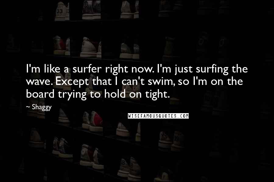 Shaggy Quotes: I'm like a surfer right now. I'm just surfing the wave. Except that I can't swim, so I'm on the board trying to hold on tight.