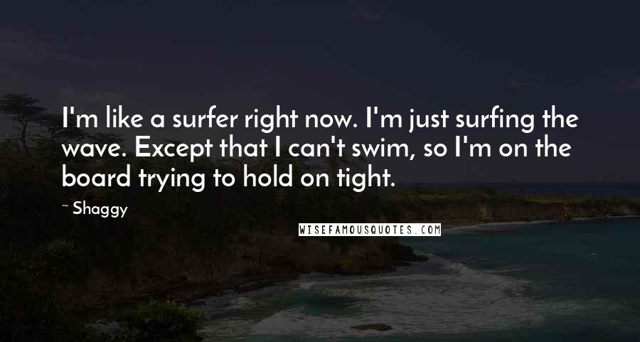 Shaggy Quotes: I'm like a surfer right now. I'm just surfing the wave. Except that I can't swim, so I'm on the board trying to hold on tight.