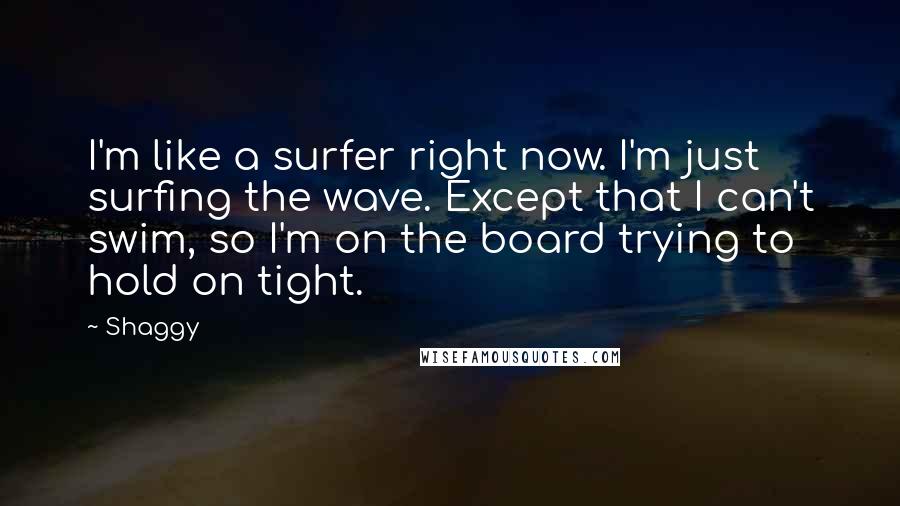 Shaggy Quotes: I'm like a surfer right now. I'm just surfing the wave. Except that I can't swim, so I'm on the board trying to hold on tight.