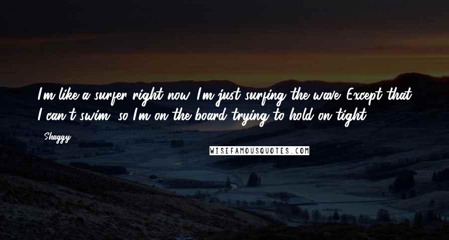 Shaggy Quotes: I'm like a surfer right now. I'm just surfing the wave. Except that I can't swim, so I'm on the board trying to hold on tight.