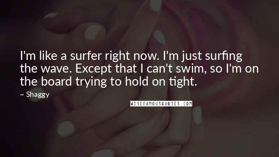 Shaggy Quotes: I'm like a surfer right now. I'm just surfing the wave. Except that I can't swim, so I'm on the board trying to hold on tight.