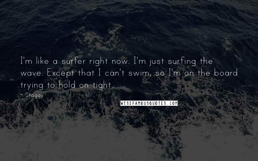 Shaggy Quotes: I'm like a surfer right now. I'm just surfing the wave. Except that I can't swim, so I'm on the board trying to hold on tight.