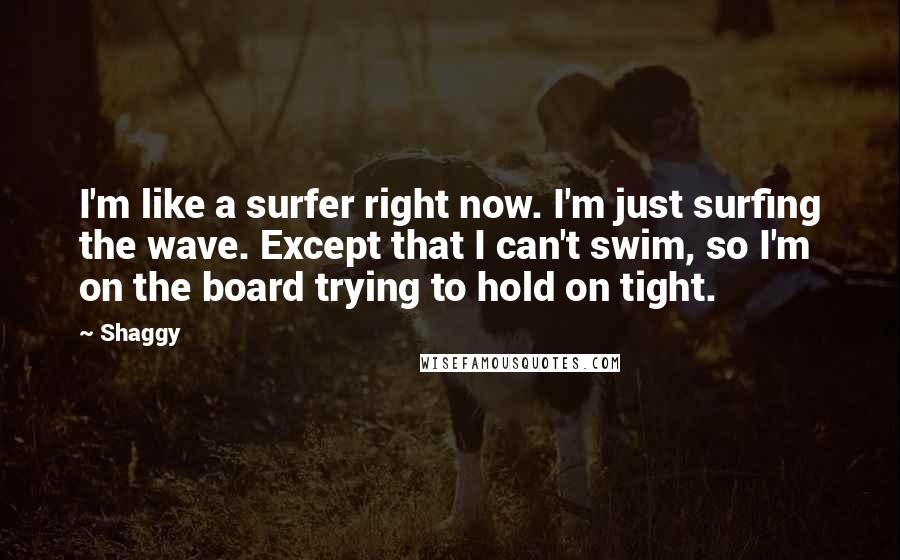 Shaggy Quotes: I'm like a surfer right now. I'm just surfing the wave. Except that I can't swim, so I'm on the board trying to hold on tight.