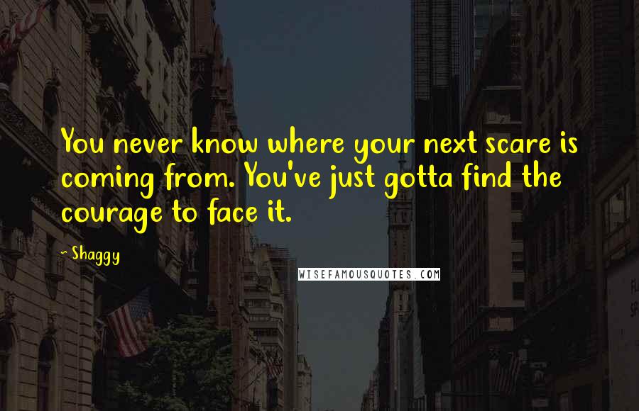 Shaggy Quotes: You never know where your next scare is coming from. You've just gotta find the courage to face it.