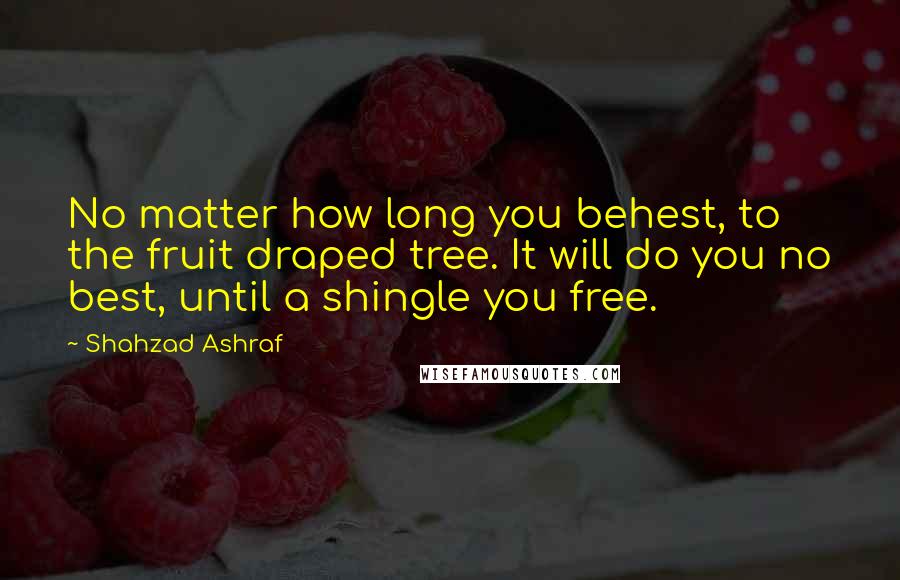 Shahzad Ashraf Quotes: No matter how long you behest, to the fruit draped tree. It will do you no best, until a shingle you free.