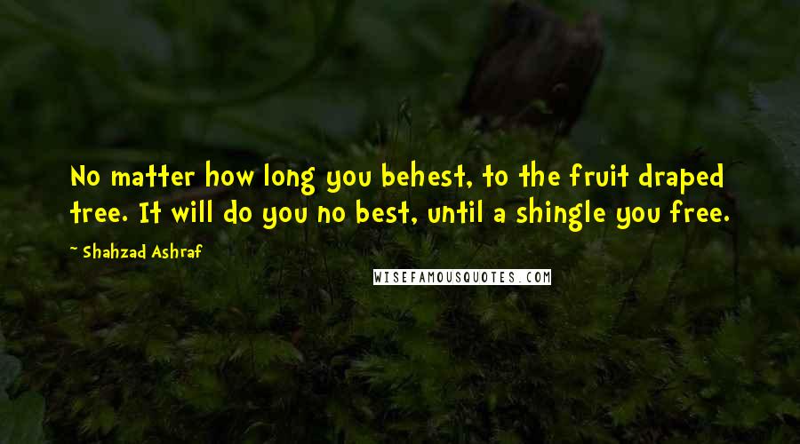 Shahzad Ashraf Quotes: No matter how long you behest, to the fruit draped tree. It will do you no best, until a shingle you free.