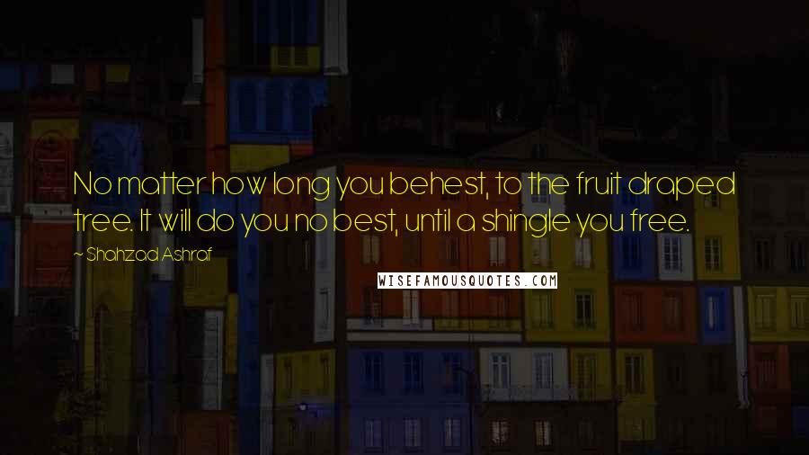 Shahzad Ashraf Quotes: No matter how long you behest, to the fruit draped tree. It will do you no best, until a shingle you free.