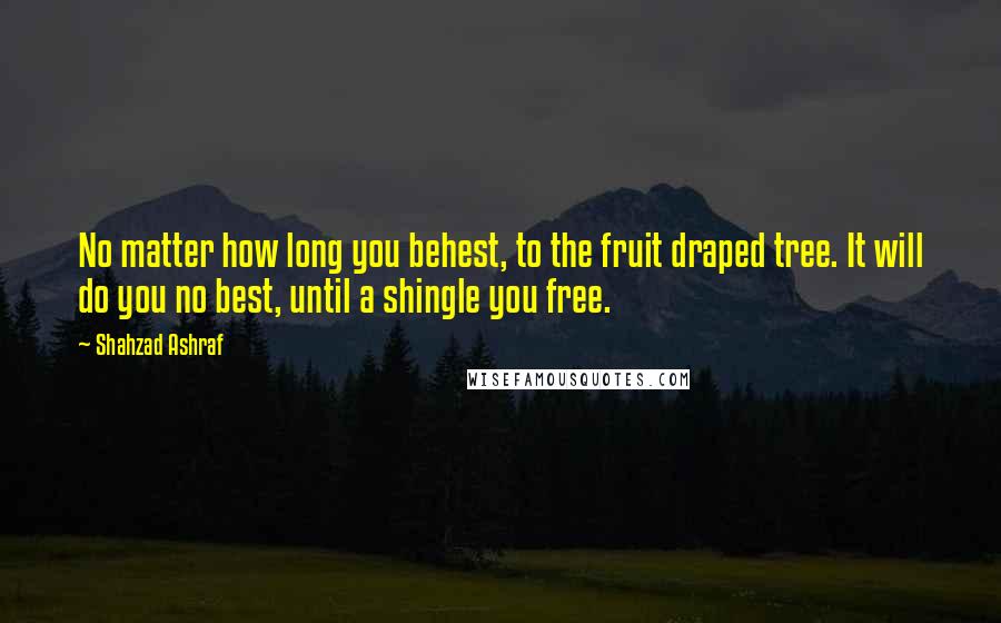 Shahzad Ashraf Quotes: No matter how long you behest, to the fruit draped tree. It will do you no best, until a shingle you free.