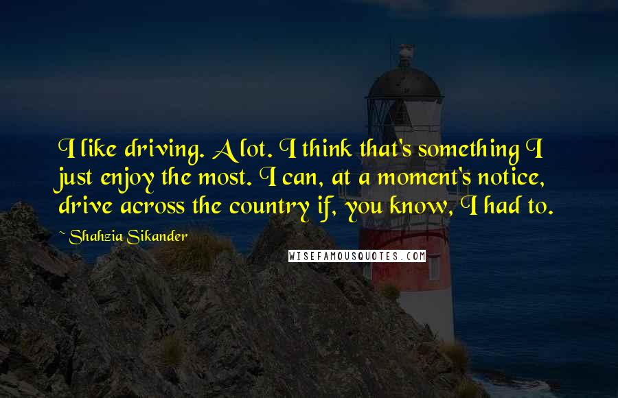 Shahzia Sikander Quotes: I like driving. A lot. I think that's something I just enjoy the most. I can, at a moment's notice, drive across the country if, you know, I had to.