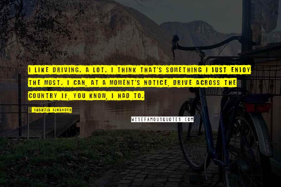 Shahzia Sikander Quotes: I like driving. A lot. I think that's something I just enjoy the most. I can, at a moment's notice, drive across the country if, you know, I had to.