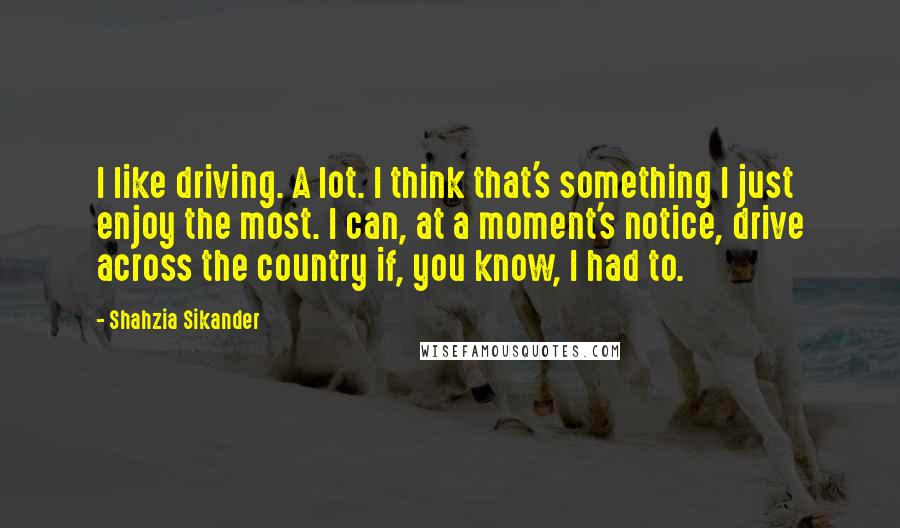 Shahzia Sikander Quotes: I like driving. A lot. I think that's something I just enjoy the most. I can, at a moment's notice, drive across the country if, you know, I had to.