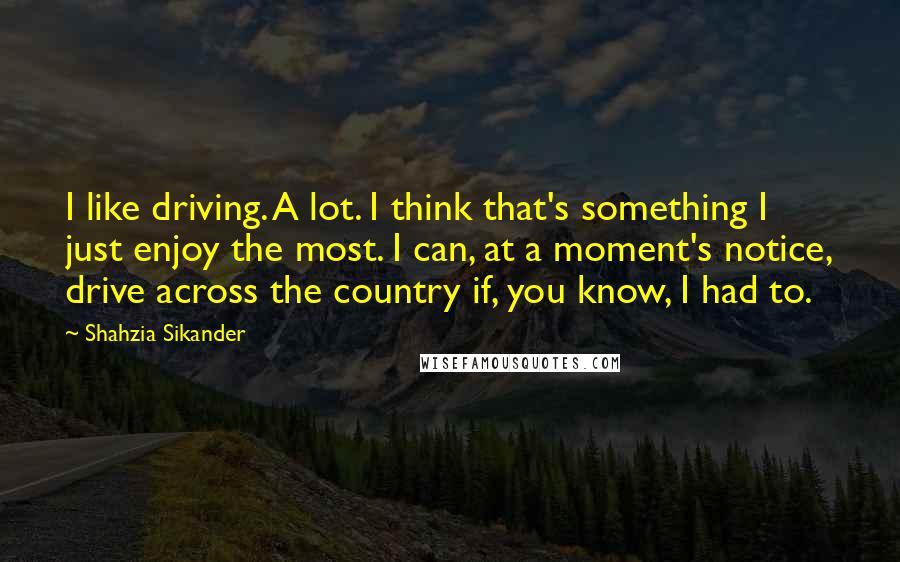 Shahzia Sikander Quotes: I like driving. A lot. I think that's something I just enjoy the most. I can, at a moment's notice, drive across the country if, you know, I had to.