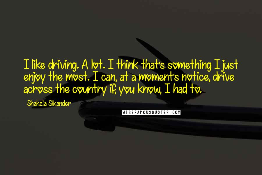 Shahzia Sikander Quotes: I like driving. A lot. I think that's something I just enjoy the most. I can, at a moment's notice, drive across the country if, you know, I had to.