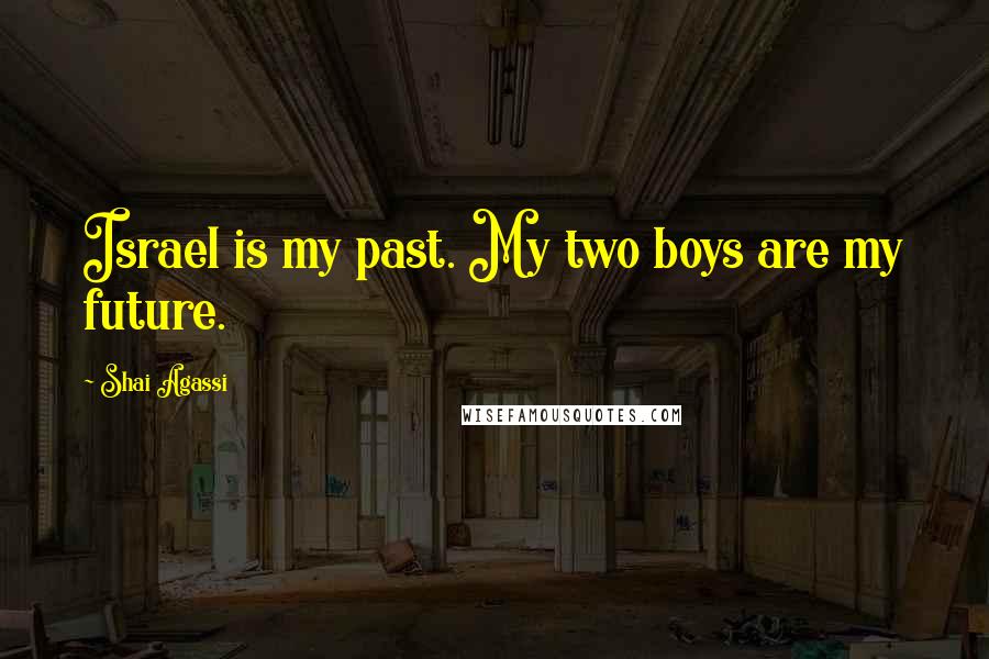 Shai Agassi Quotes: Israel is my past. My two boys are my future.