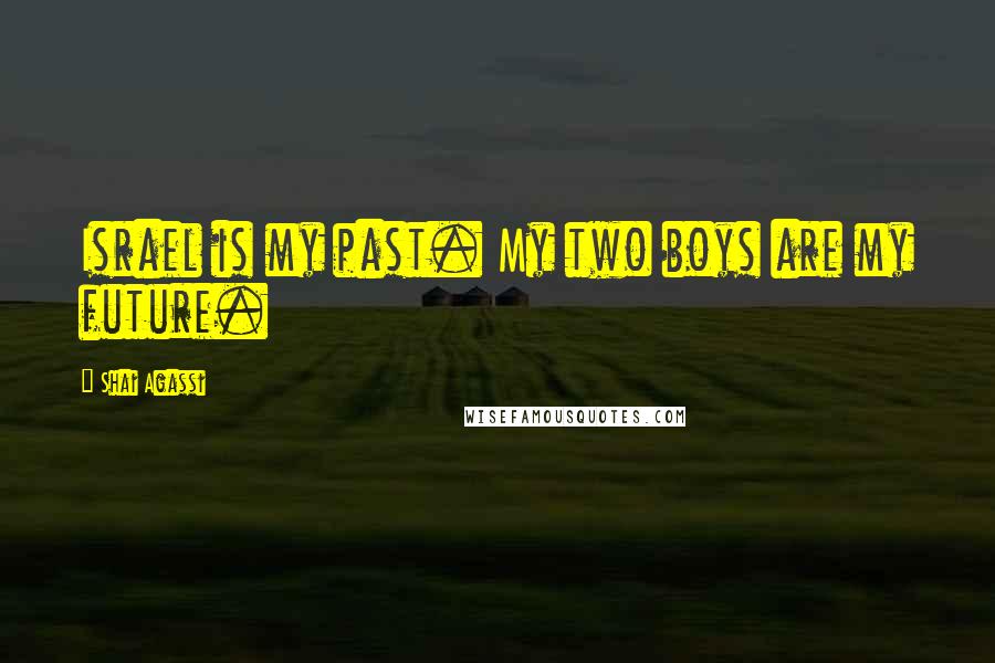 Shai Agassi Quotes: Israel is my past. My two boys are my future.