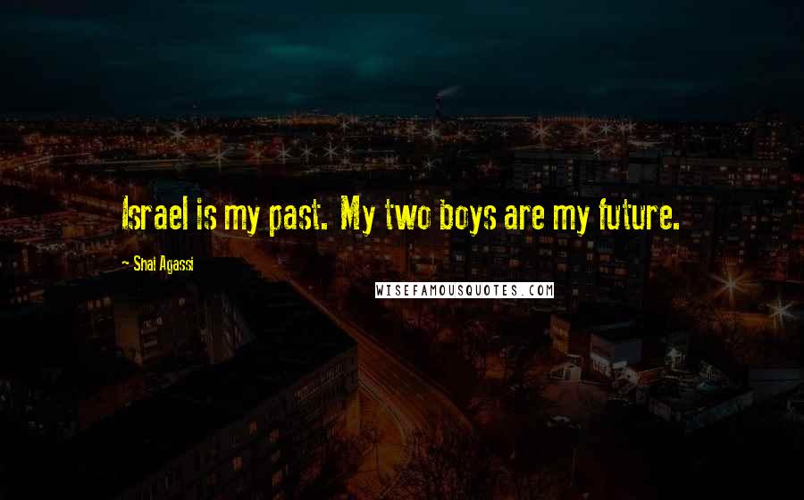 Shai Agassi Quotes: Israel is my past. My two boys are my future.