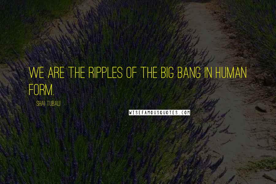 Shai Tubali Quotes: We are the ripples of the Big Bang in human form.