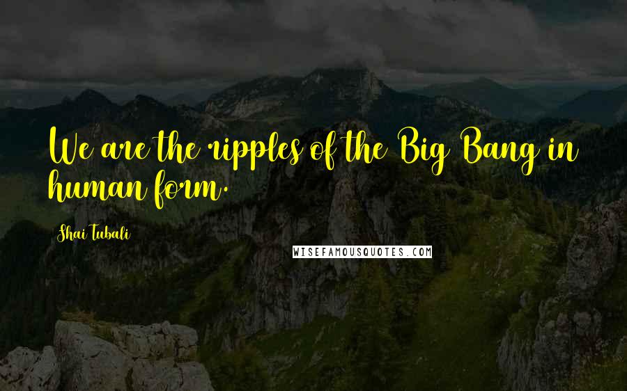 Shai Tubali Quotes: We are the ripples of the Big Bang in human form.