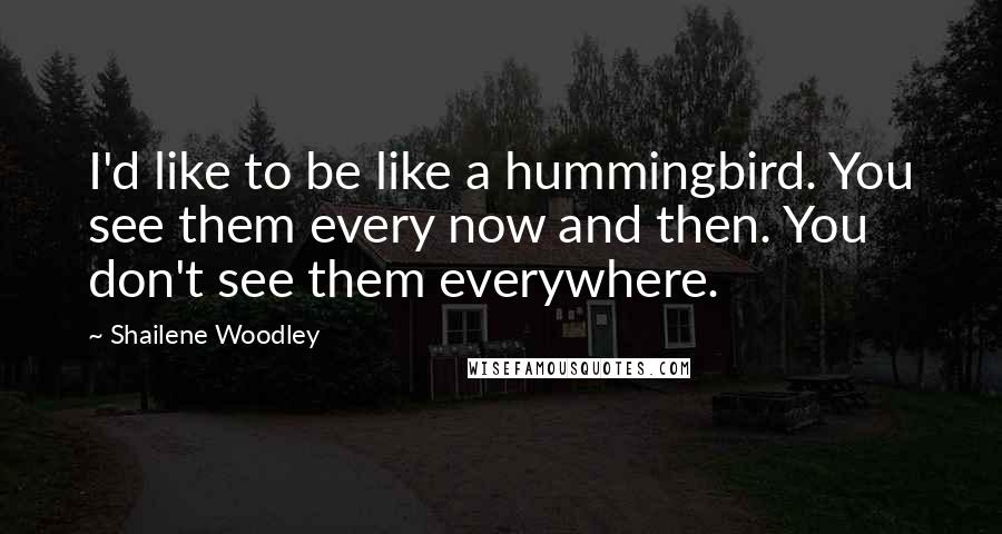 Shailene Woodley Quotes: I'd like to be like a hummingbird. You see them every now and then. You don't see them everywhere.