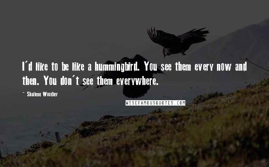 Shailene Woodley Quotes: I'd like to be like a hummingbird. You see them every now and then. You don't see them everywhere.