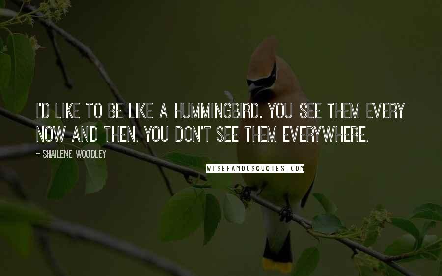 Shailene Woodley Quotes: I'd like to be like a hummingbird. You see them every now and then. You don't see them everywhere.