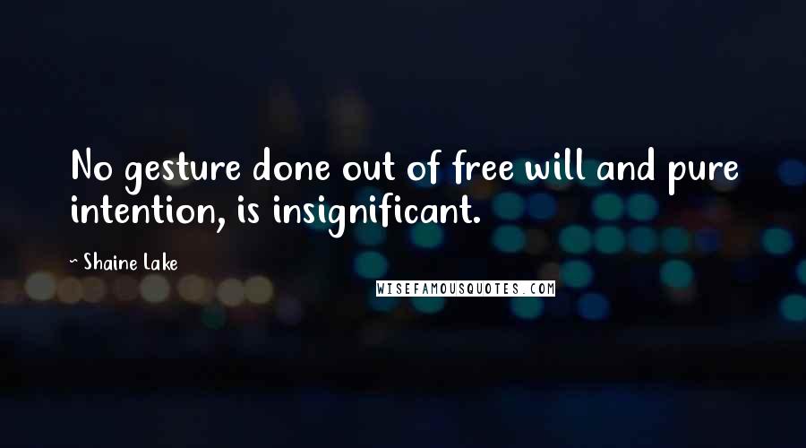 Shaine Lake Quotes: No gesture done out of free will and pure intention, is insignificant.