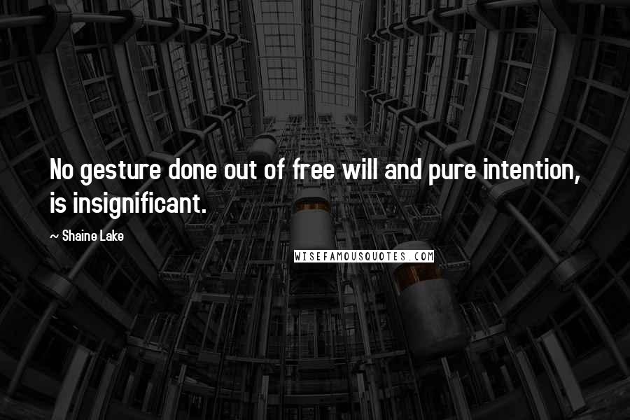 Shaine Lake Quotes: No gesture done out of free will and pure intention, is insignificant.