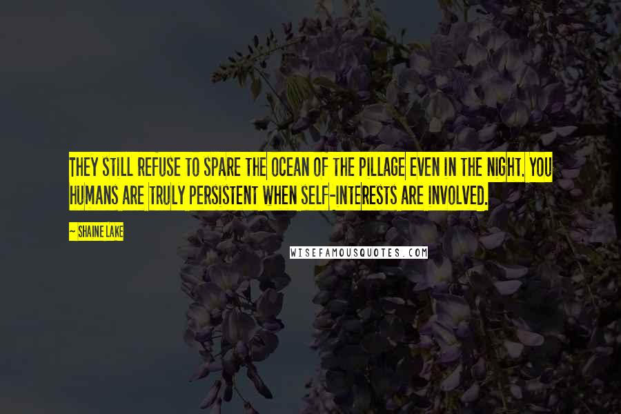 Shaine Lake Quotes: They still refuse to spare the ocean of the pillage even in the night. You humans are truly persistent when self-interests are involved.