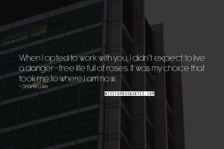 Shaine Lake Quotes: When I opted to work with you, I didn't expect to live a danger-free life full of roses. It was my choice that took me to where I am now.