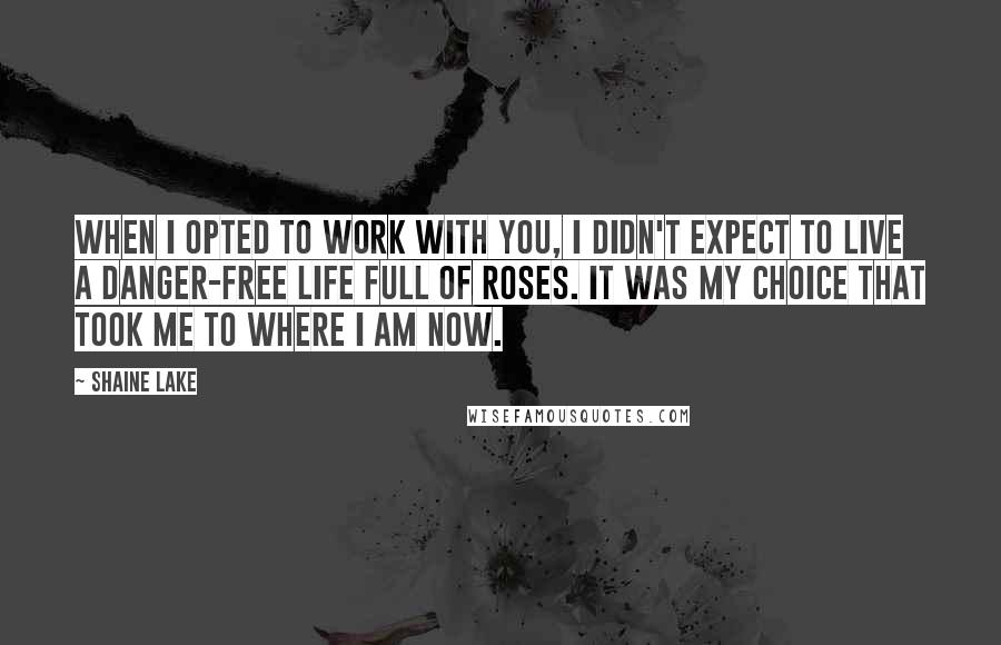 Shaine Lake Quotes: When I opted to work with you, I didn't expect to live a danger-free life full of roses. It was my choice that took me to where I am now.