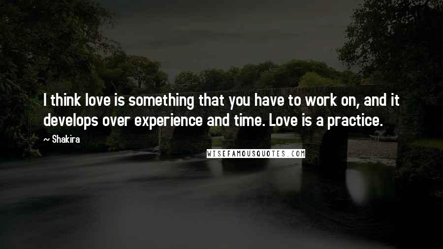 Shakira Quotes: I think love is something that you have to work on, and it develops over experience and time. Love is a practice.