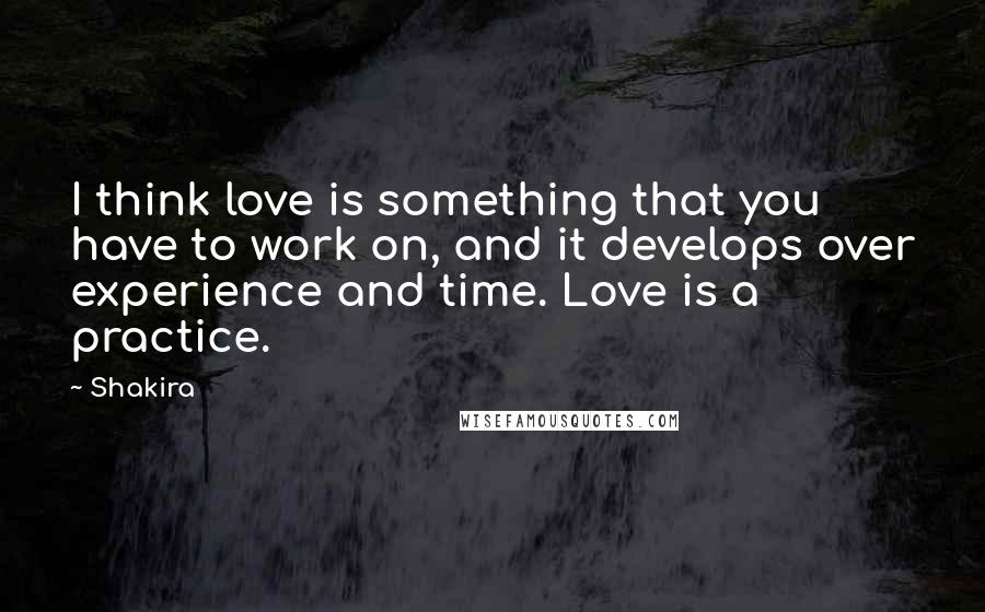 Shakira Quotes: I think love is something that you have to work on, and it develops over experience and time. Love is a practice.