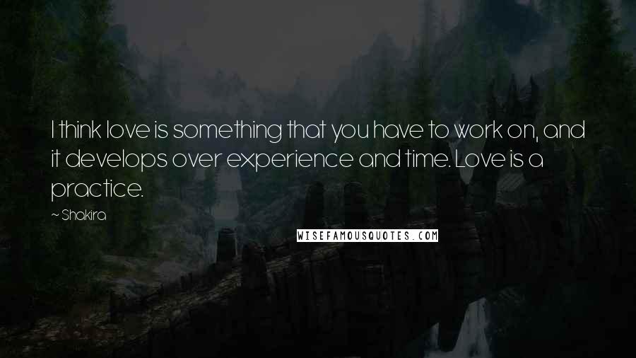 Shakira Quotes: I think love is something that you have to work on, and it develops over experience and time. Love is a practice.