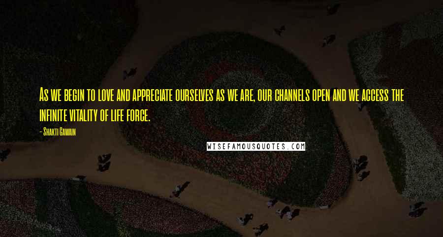 Shakti Gawain Quotes: As we begin to love and appreciate ourselves as we are, our channels open and we access the infinite vitality of life force.